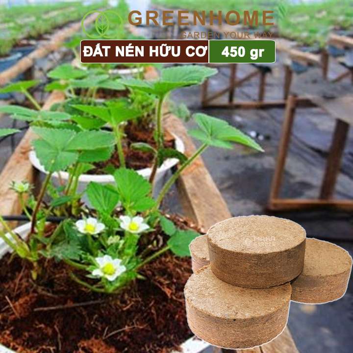 Đất nén hữu cơ, mụn sơ dừa bánh lớn đã qua xử lý, nở gấp 5 lần, trồng rau, trộn giá thể trồng cây |Greenhome