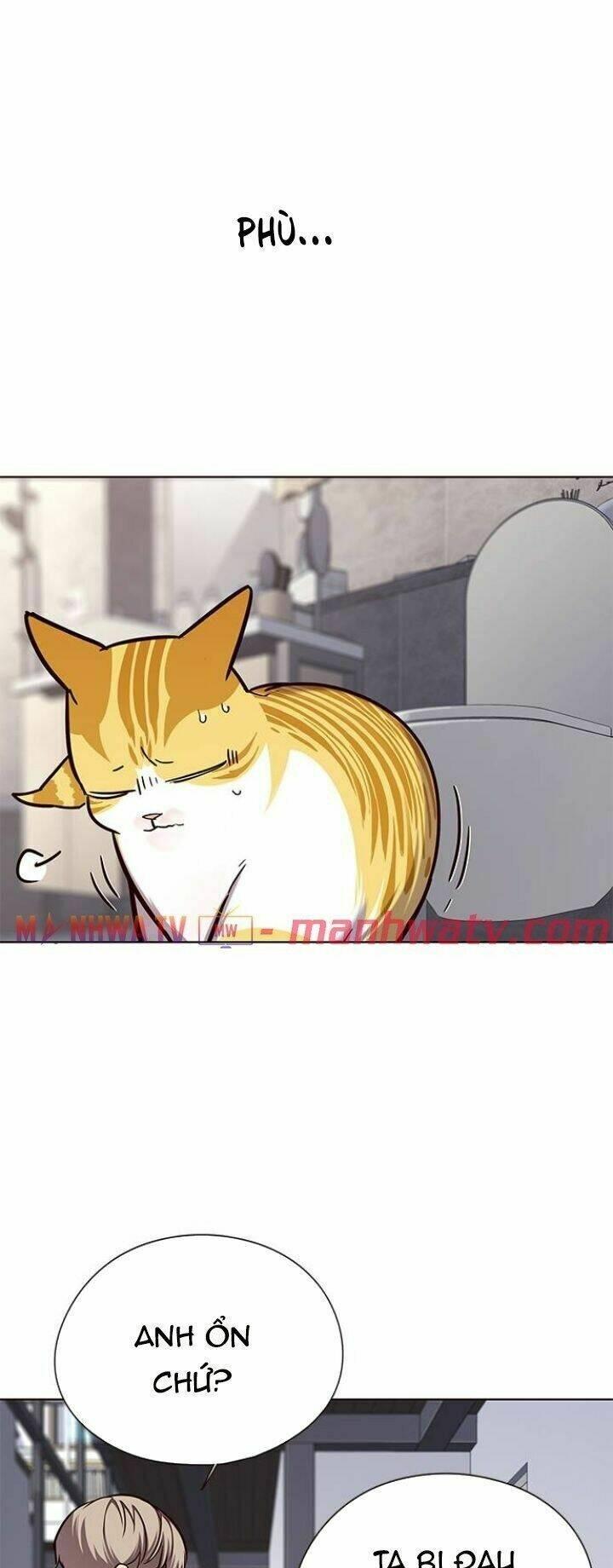 biến thân thành mèo chapter 119 4