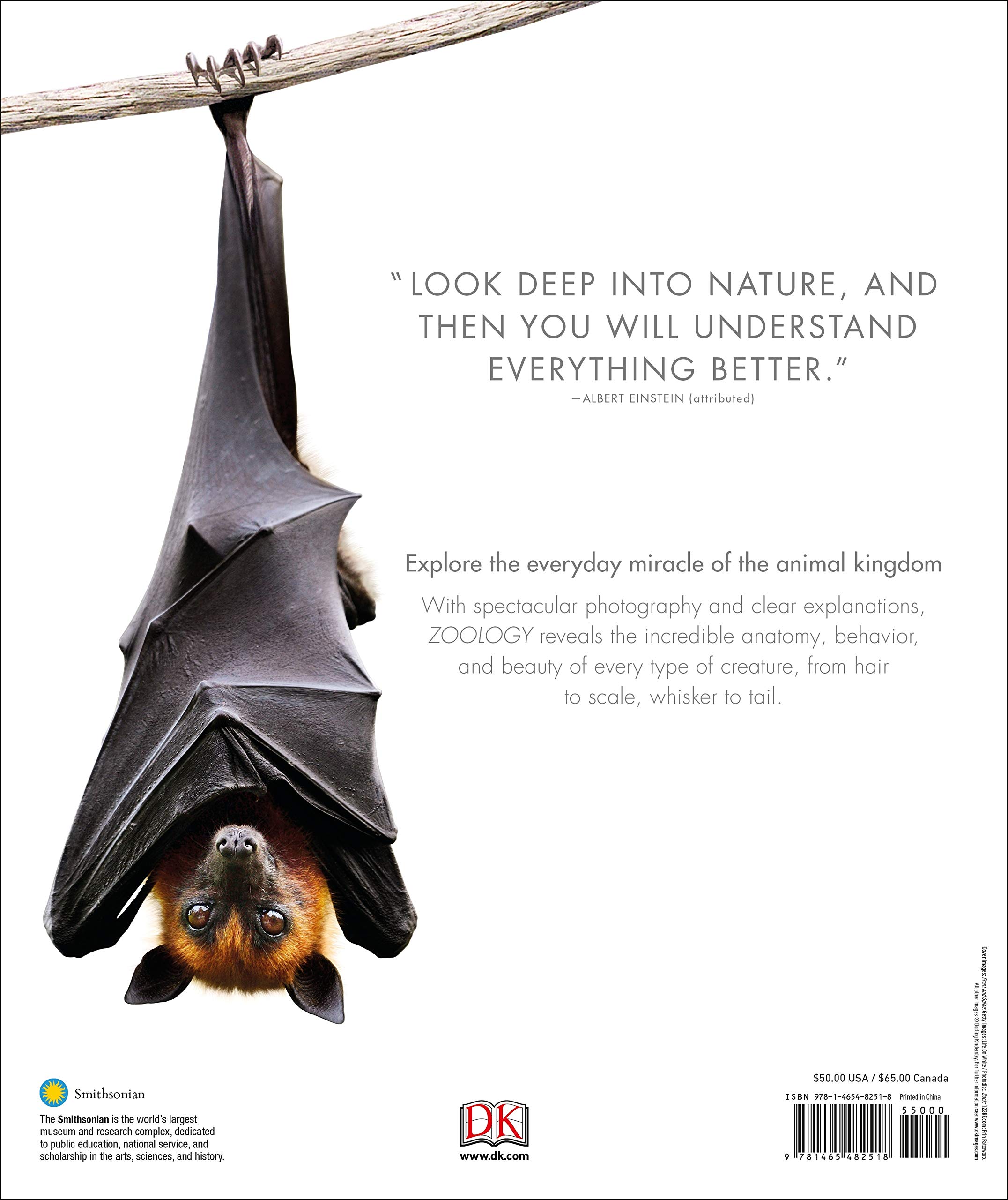 Zoology: Inside The Secret World Of Animals