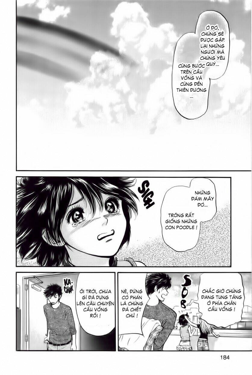 cô nàng yêu chó chapter 29 16