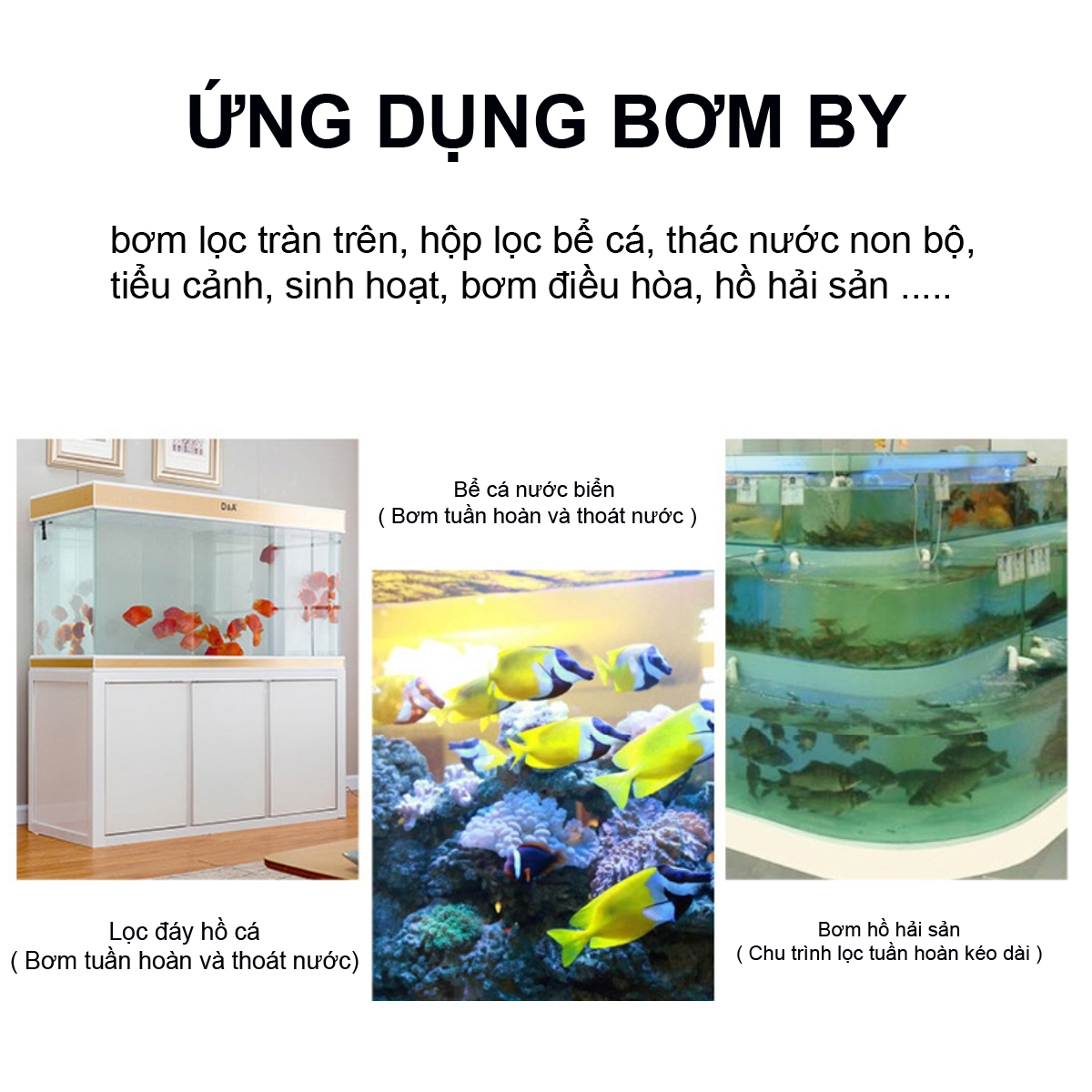 Máy bơm nước BY301 BY302 BY303 BY304 BY305 cao cấp 3IN1: lọc nước, hút cặn đáy vệ sinh bể cá, bơm tiểu cảnh, hòn non bộ, điều hòa, sinh hoạt cao cấp, siêu bền, tiết kiệm điện. BH uy tín