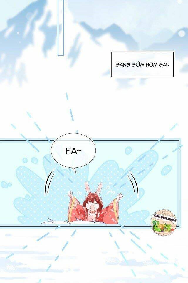 hắc hóa nam chính trực tuyến nuôi thỏ chapter 4 6