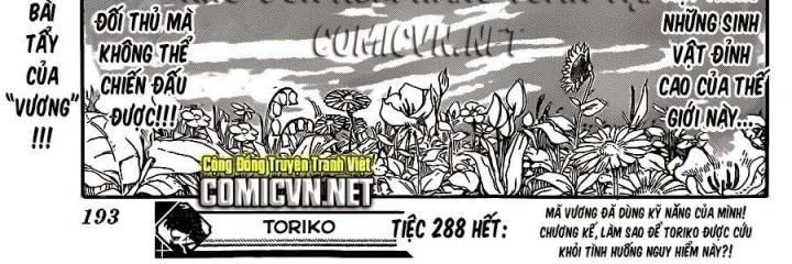 thánh tỏi sành ăn chapter 288 36