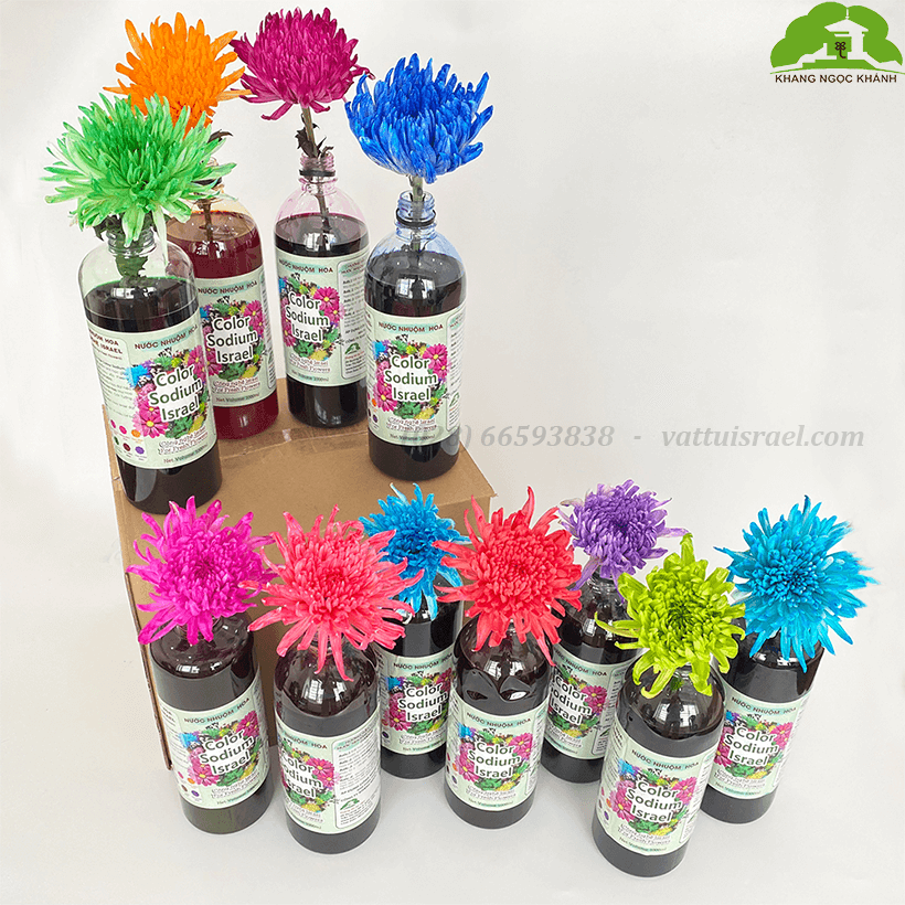 Màu Nhuộm Hoa Tươi Cắt Cành Công Nghệ Israel The Color Sodium (Chai 1 lít) là chế phẩm sinh học an toàn dùng đổi màu hoa tươi tại nhà và shop hoa