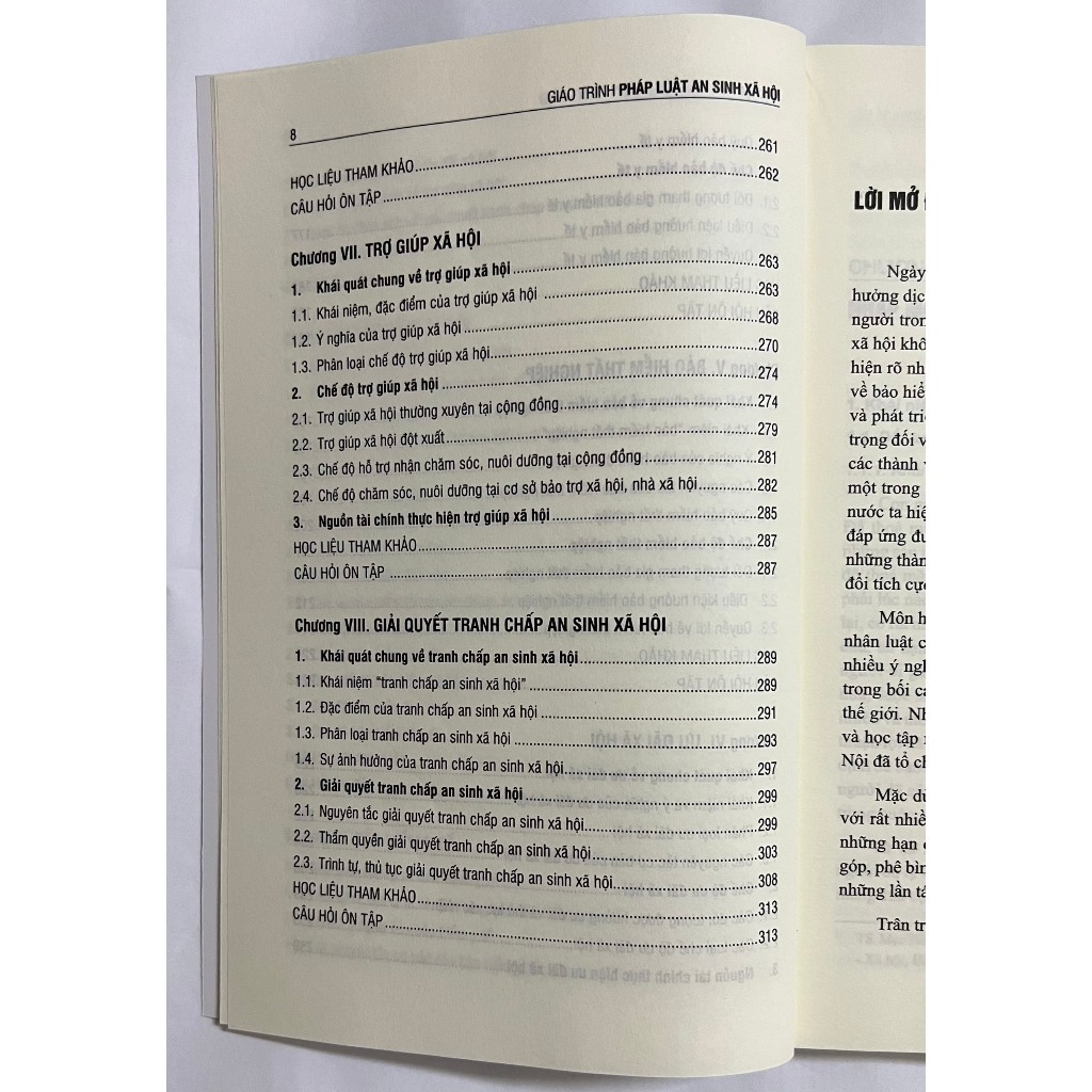 Sách - Giáo Trình Pháp Luật An Sinh Xã Hội (Tái Bản Lần 2)