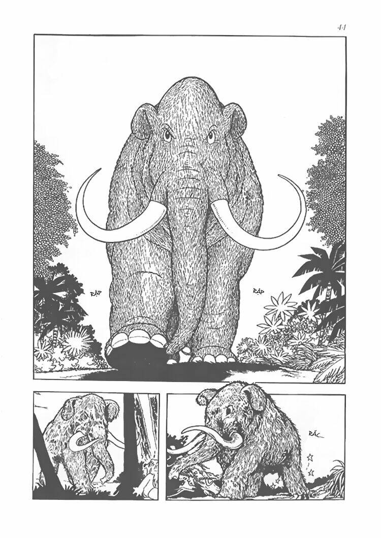 vua sư tử chapter 8 10