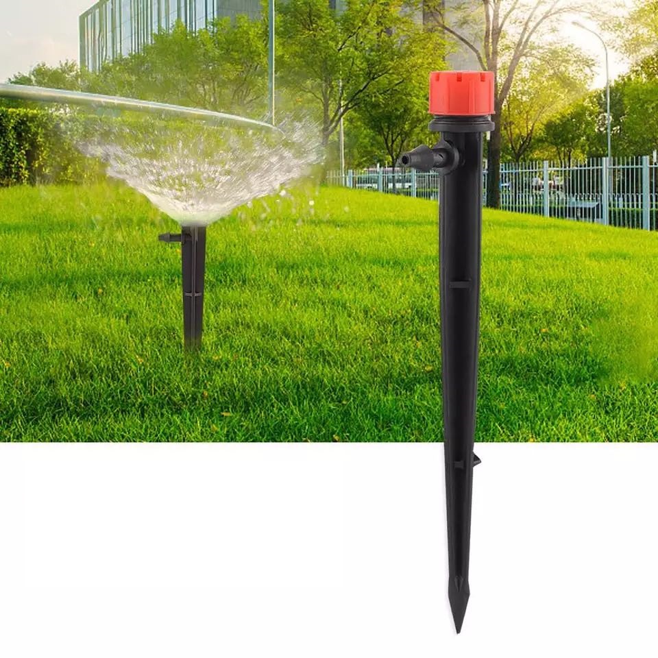 BỘ 20 CÂY CẮM 8 TIA
