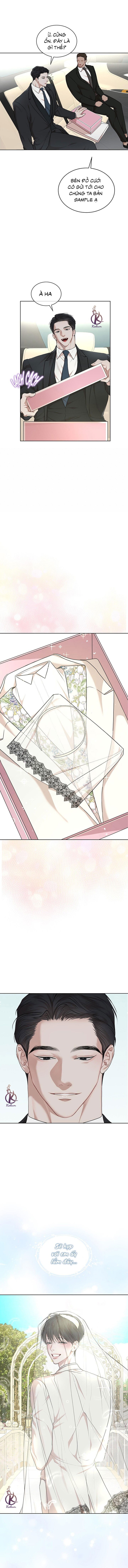 hình thái khởi sinh chapter 79 11