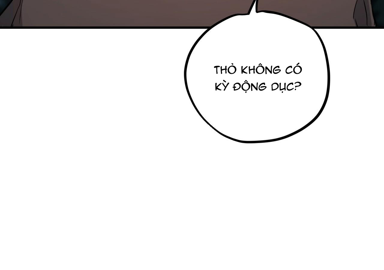 đàn thỏ của habibi chapter 20 50