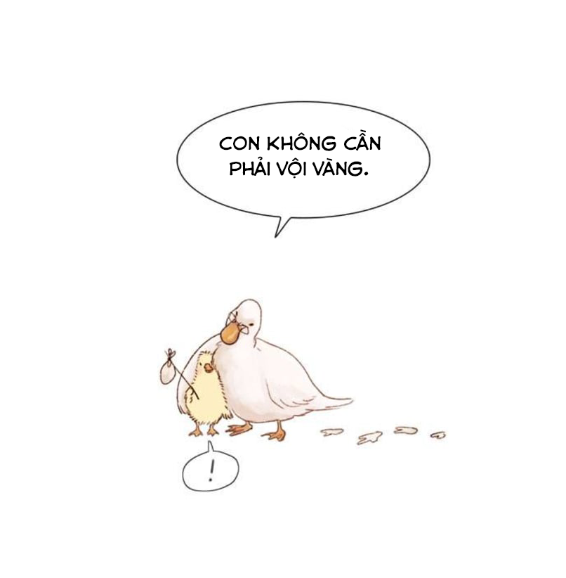 tình yêu như một giấc mộng hè chapter 1 20