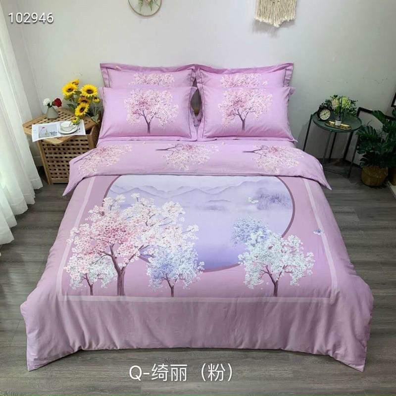 Set Ga Gối Cotton Organic Hàng Nhập Khẩu Cao CẤp 4 Món