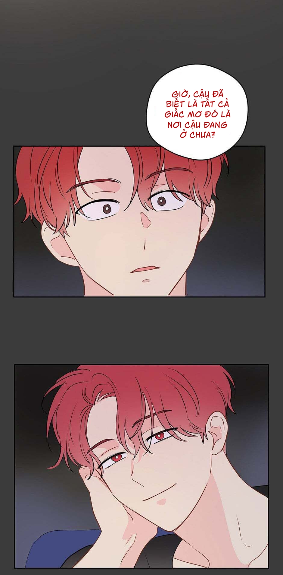 chỉ là giấc mơ thôi phải không? chapter 31 51