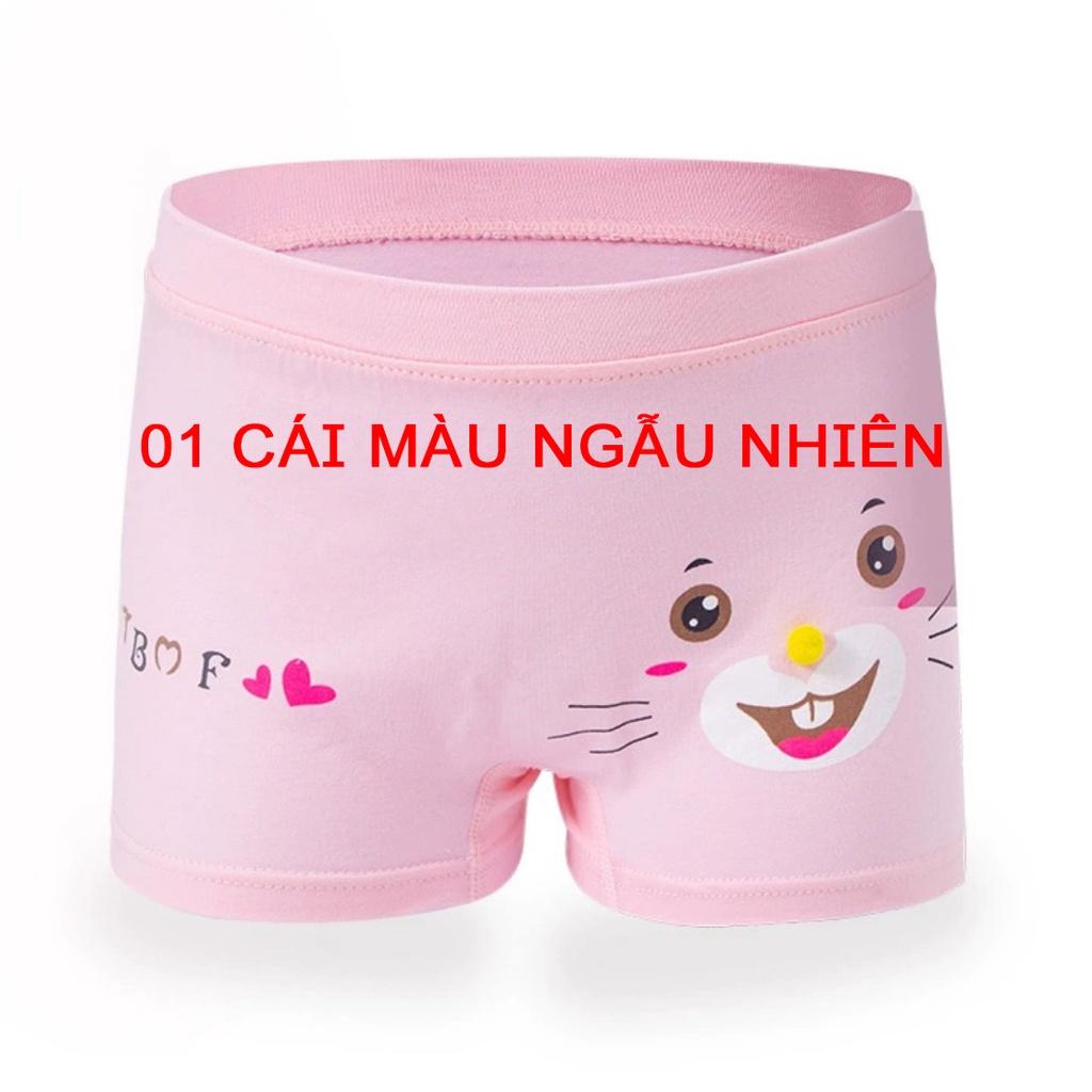 Quần lót đùi bé gái chất cotton cao cấp in hình ngô nghĩnh dễ thương HAVANA KLQ02