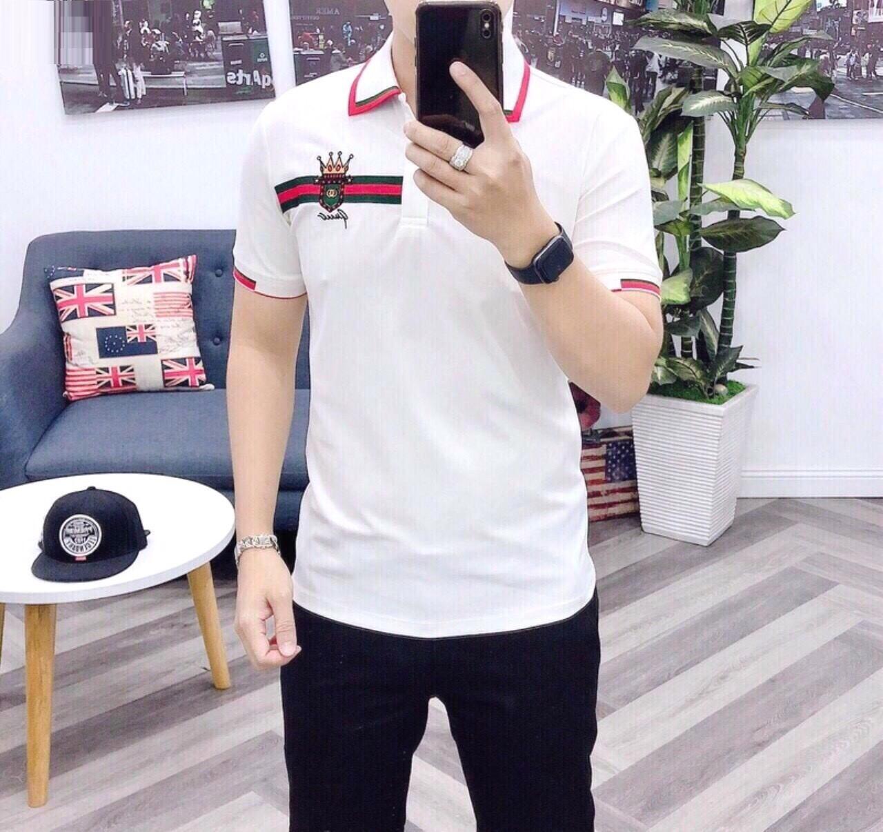 ÁO THUN NAM COTTON BODY CỔ BẺ 3 MÀU
