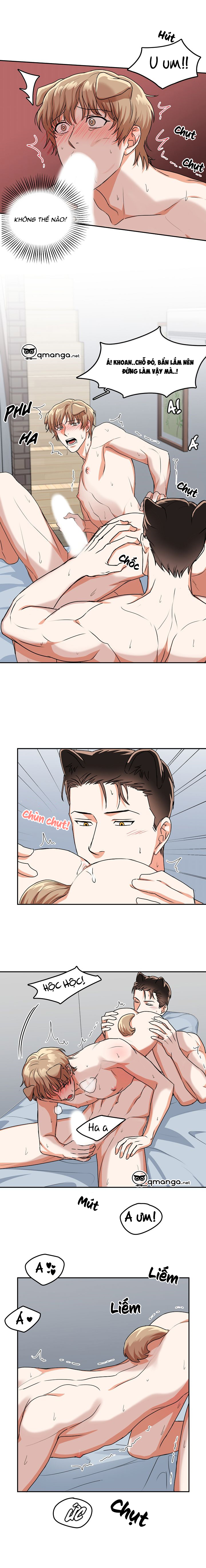 khi cún biết yêu chapter 21 6