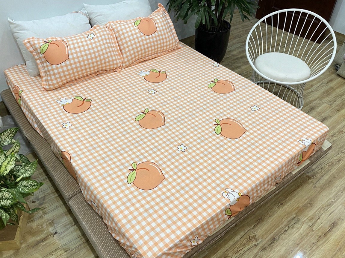 SÉT GA GỐI COTTON POLY(1GA CHUN +2VỎ GỐI NẰM) - GX01