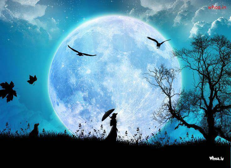 album natural wallpapers chapter 27 18