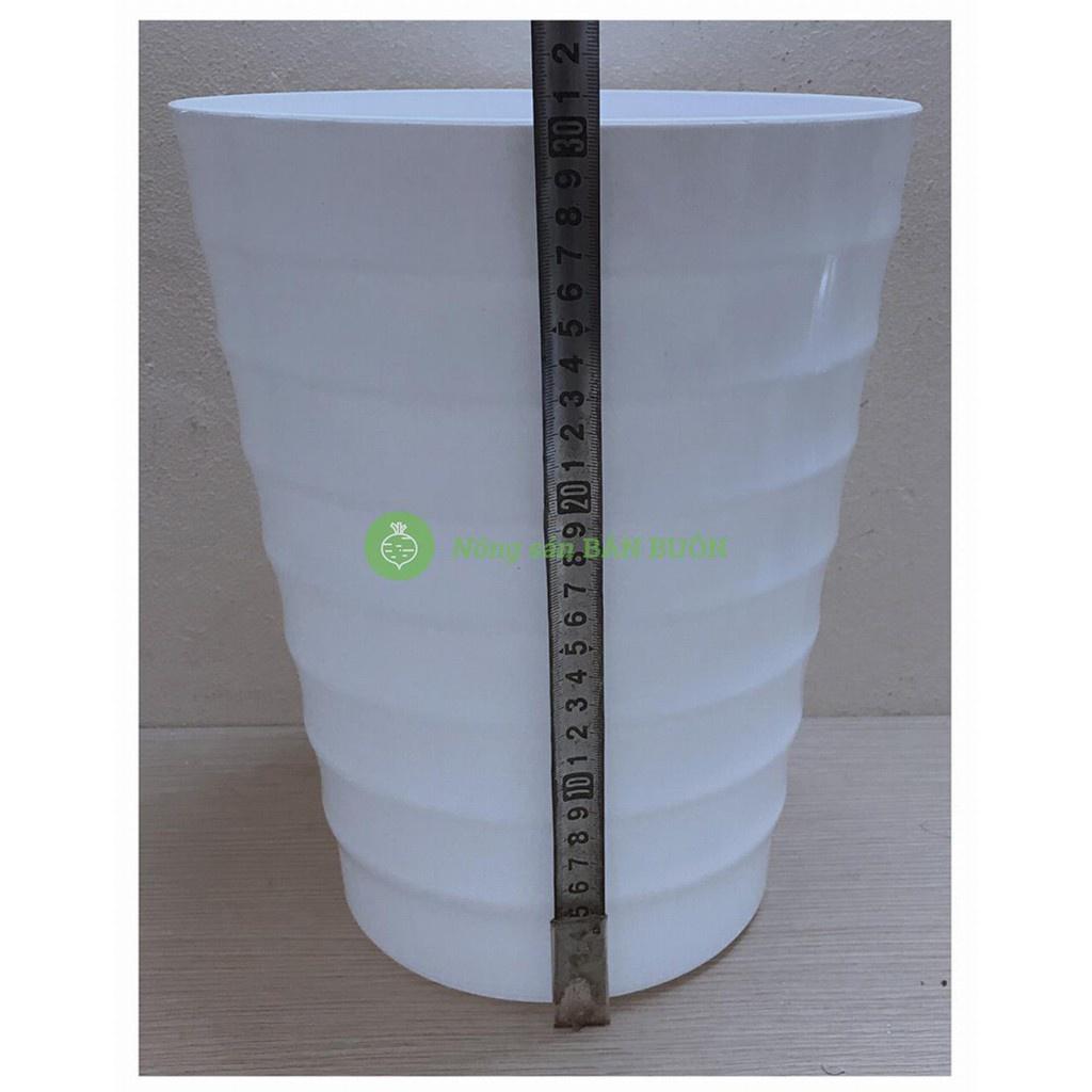 3 Chậu Nhựa Trồng Hoa Cây Cảnh VT 245x167x300 Bình Thuận Plastics