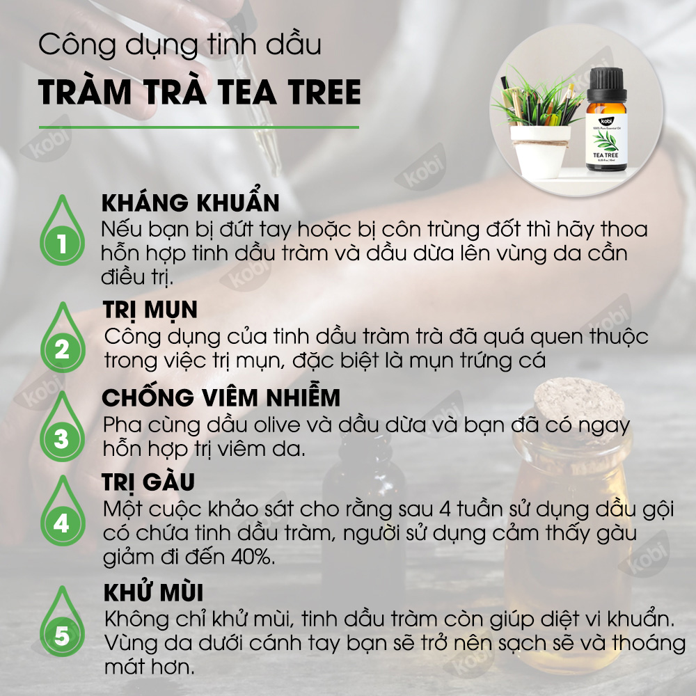 Combo 3 Tinh Dầu Xông Phòng Kobi: Tinh Dầu Hương Thảo + Tinh Dầu Cam Ngọt + Tinh Dầu Tràm Trà - Tinh Dầu Thiên Nhiên Nguyên Chất, Tốt Cho Bé Sơ Sinh, Giúp Giữ Ấm Cơ Thể, Phòng Ngừa Bệnh Hô Hấp Hiệu Quả