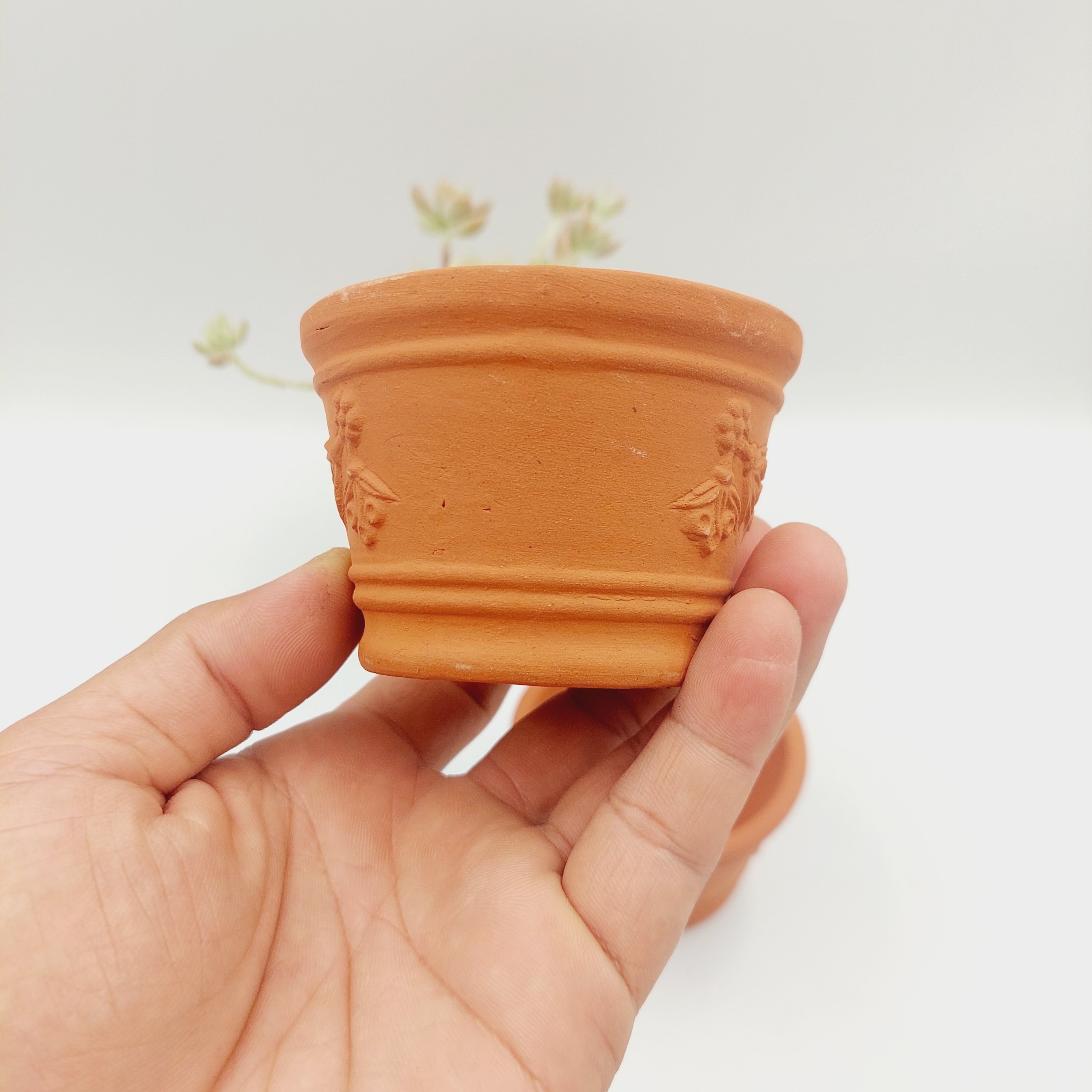 Chậu đất nung, chậu sen đá - Ly dây chùm nho 755, miệng chậu 7.5cm, chiều cao 5cm