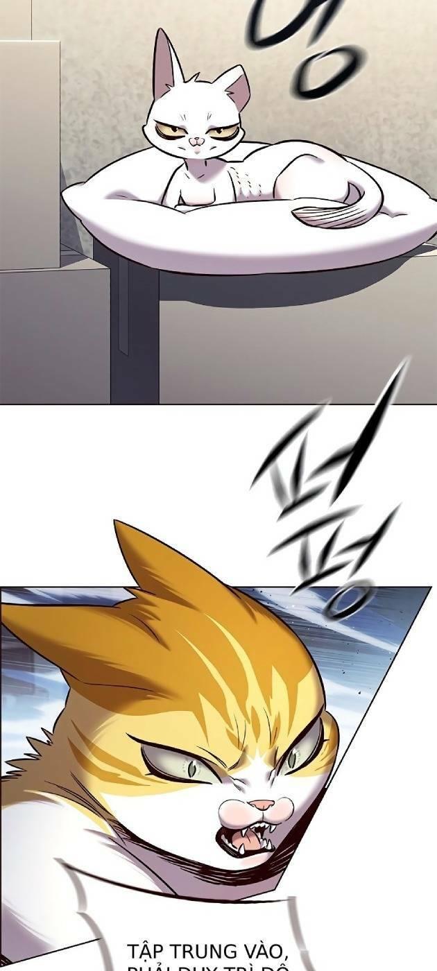 biến thân thành mèo chapter 241 9