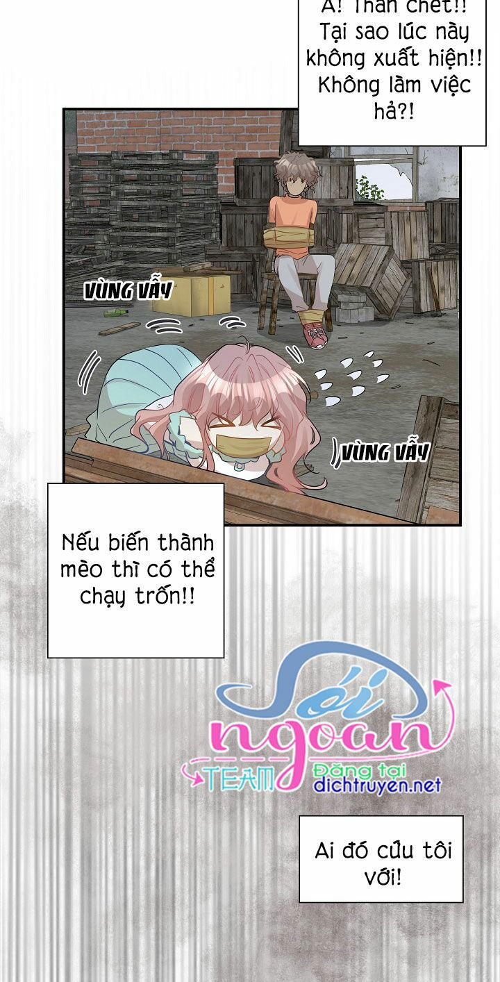 cuộc sống kỳ thú chapter 26 19