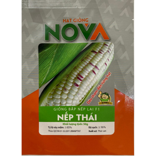 Hạt giống bắp nếp lai F1 Nếp Thái - dẻo thơm đến từng hạt_dễ trồng, ngắn ngày, năng suất cao_ nhập khẩu Thái Lan