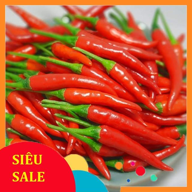 Hạt Giống Ớt Chỉ Thiên Siêu Cay gói 0.5g