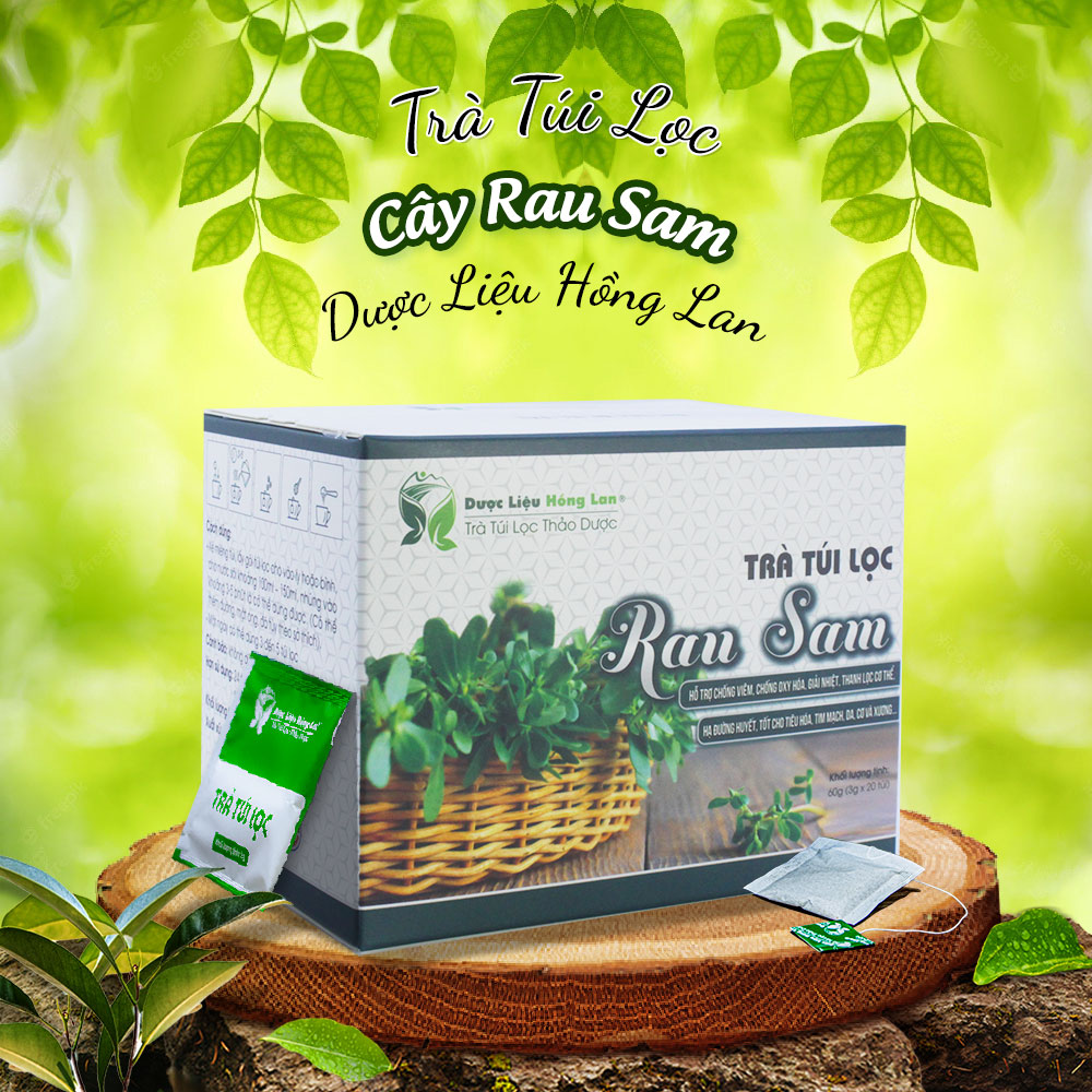 Trà Rau Sam túi lọc hộp 60g Cty Dược Liệu Hồng Lan