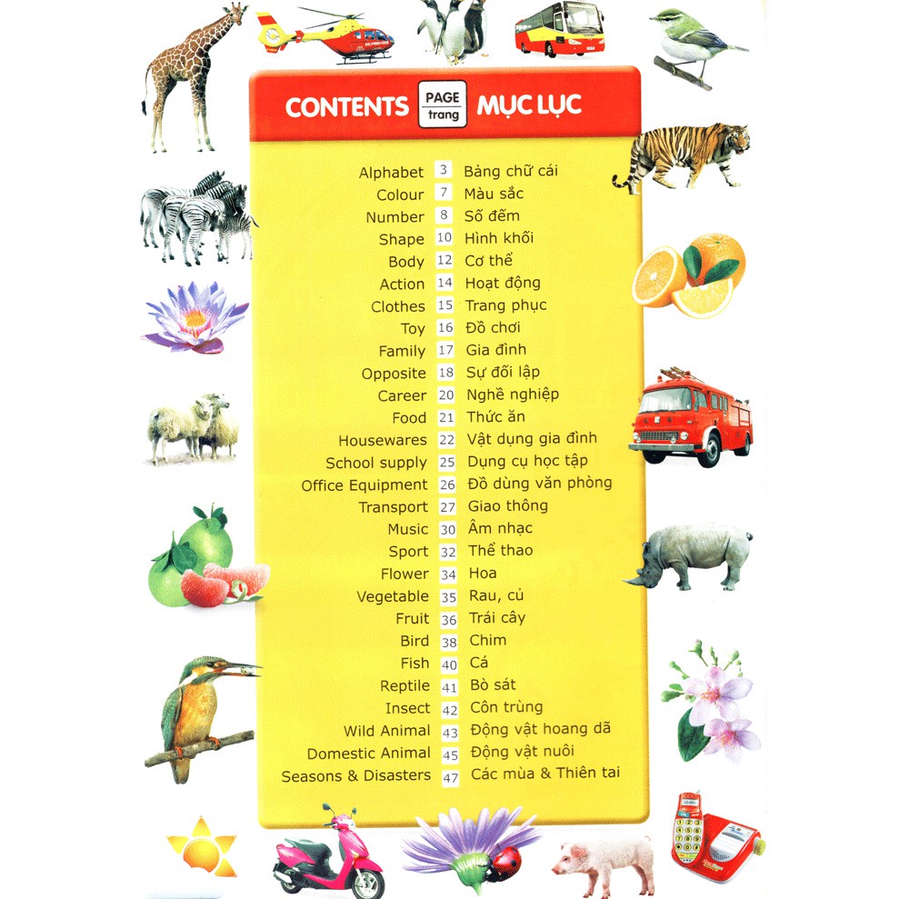 Từ Điển Anh Việt Bằng Hình