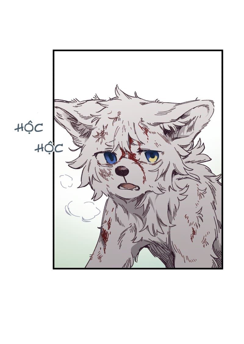 lumine - cội nguồn ánh sáng chapter 134 24