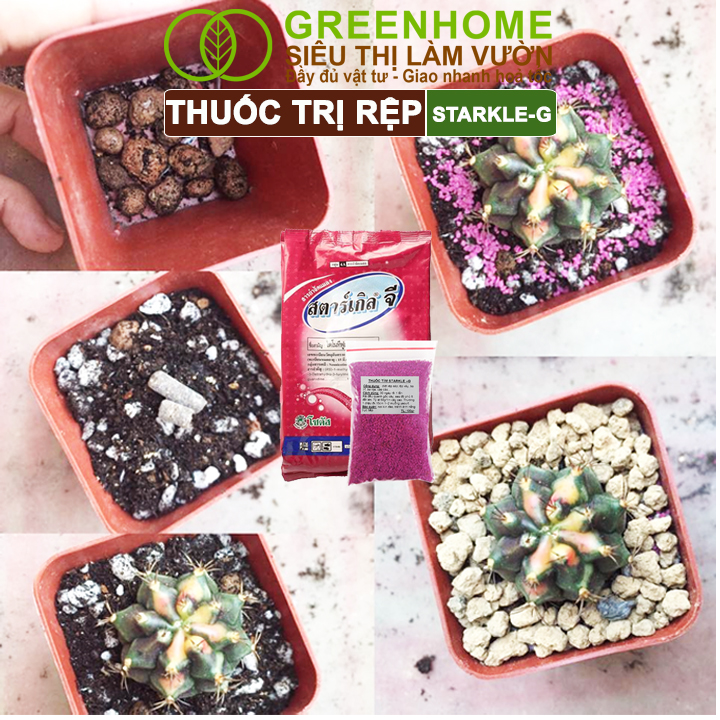 Thuốc Tím Trị Rệp Greenhome, Starkle-G, Bao 50gr, Lưu Dẫn, An Toàn, Hiệu Quả, Dùng Cho Sen Đá, Xương Rồng, Hoa hồng
