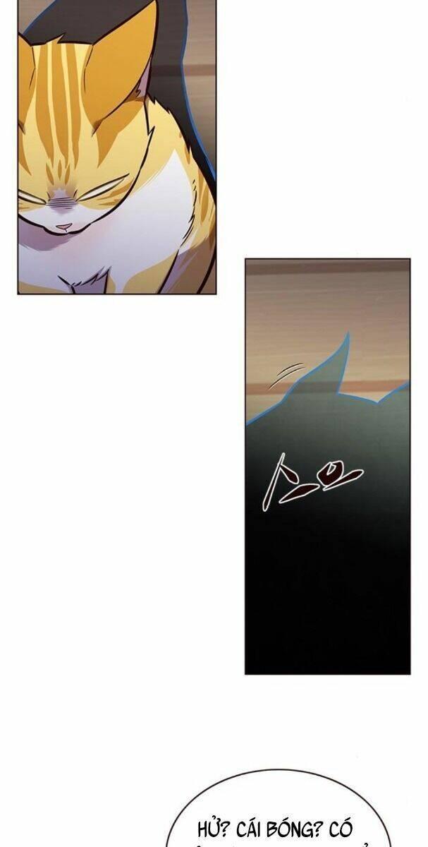 biến thân thành mèo chapter 174 44