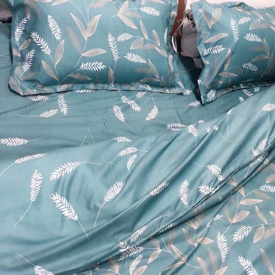 Bộ Chăn ga Cotton Poly - Lá Tre phong cách Han Quốc