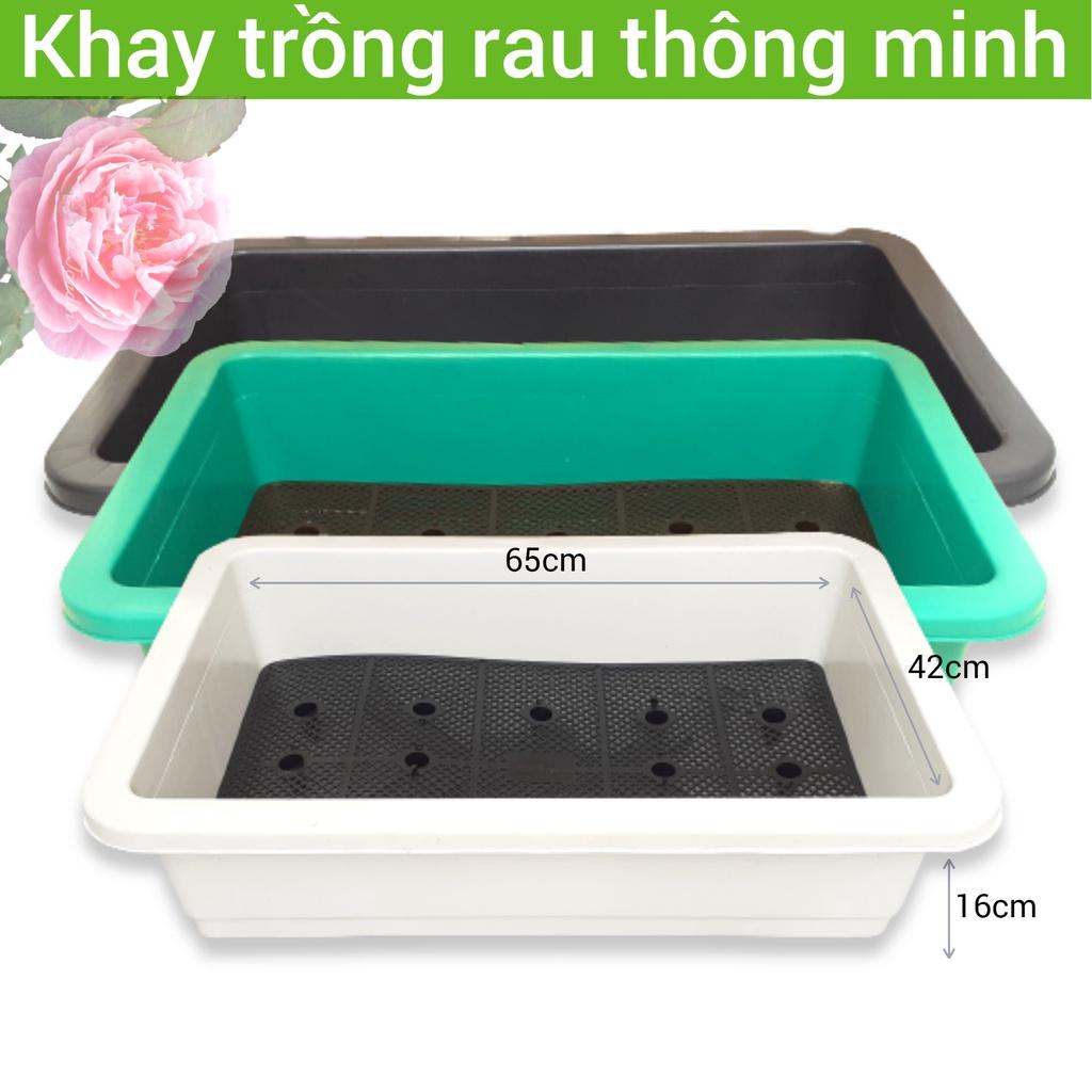 Khay trồng rau thông minh nhựa dày loại tốt 65x42x16cm