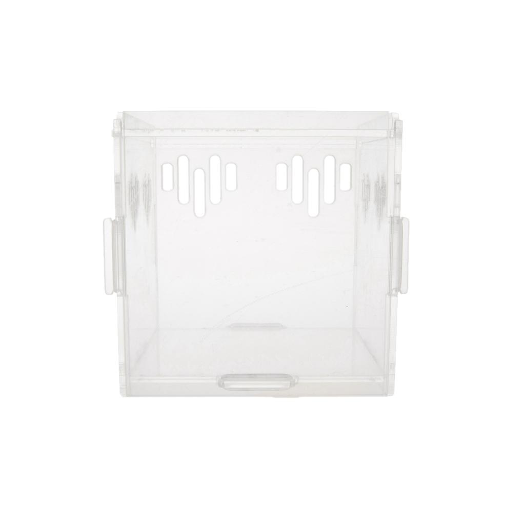 Acrylic Box Crawler Spider Scorpion Centipede Insect Feeding Insect Box - XS