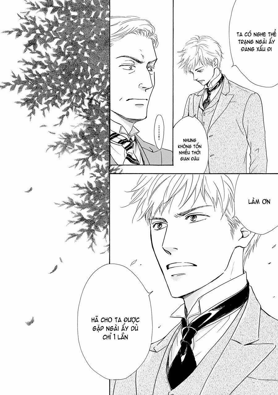 bình minh u sầu chapter 34 32