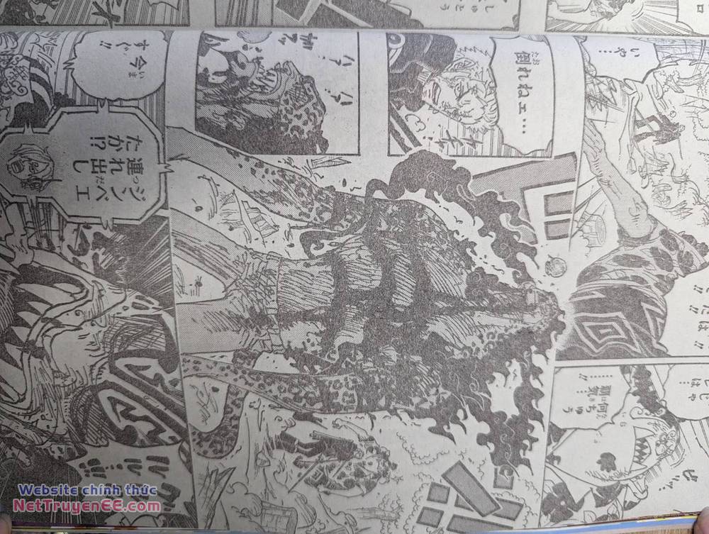 đảo hải tặc - one piece chapter 1111 5