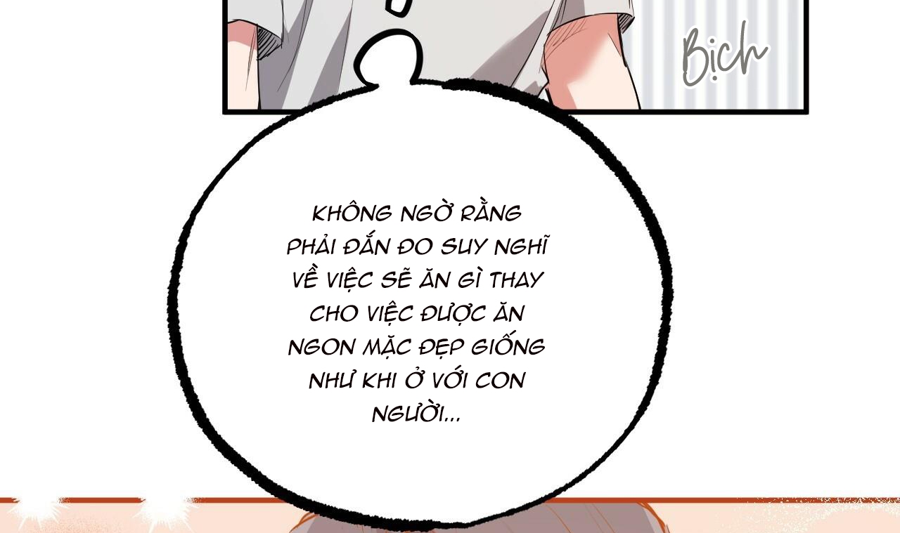 đàn thỏ của habibi chapter 39 55