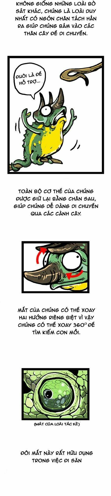 earth, human, and animal chapter 19 13