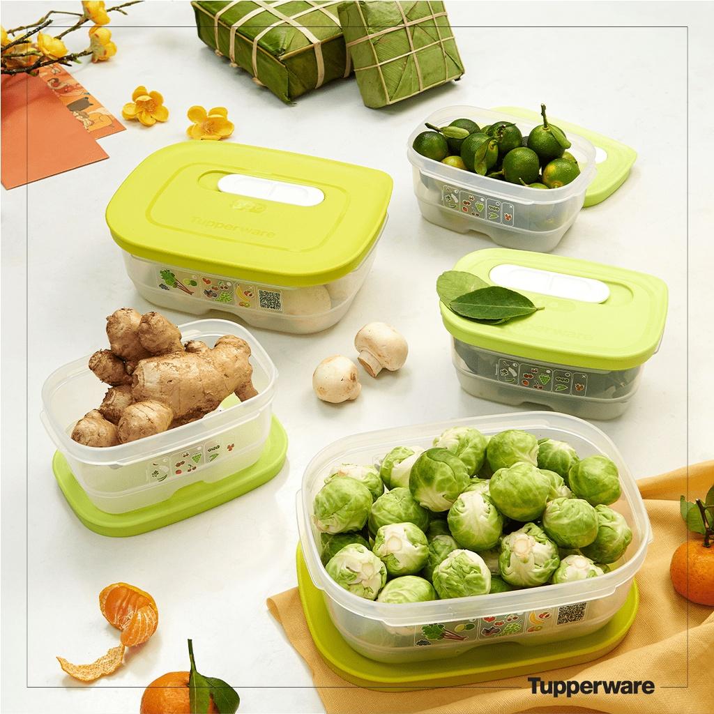 Bộ hộp trữ mát có nút hô hấp Ventsmart Five Star 800ml & 375ml - Tupperware
