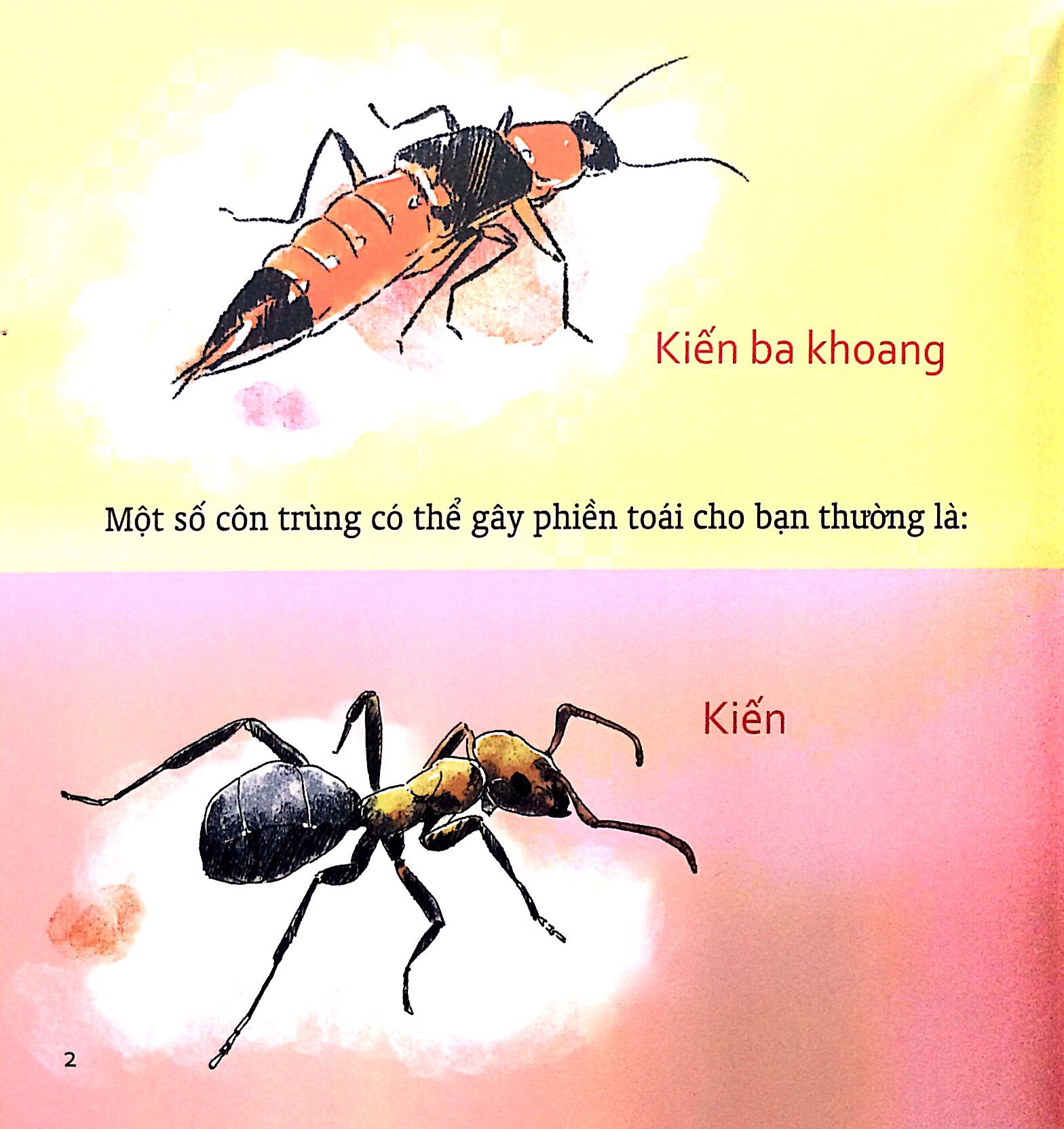 Kỹ Năng Sống Cho Trẻ - Xử Lý Khi Bị Côn Trùng Đốt