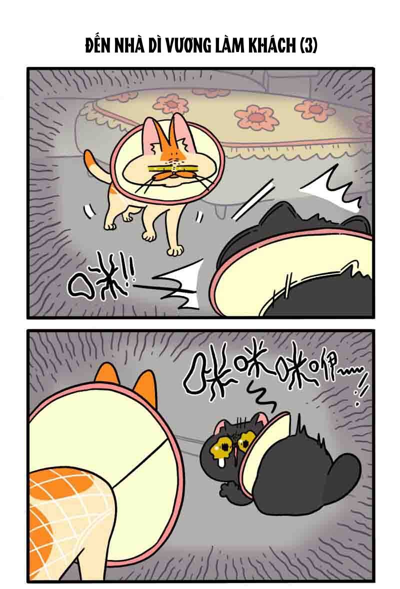 a mãn và mạch trà chapter 22 5