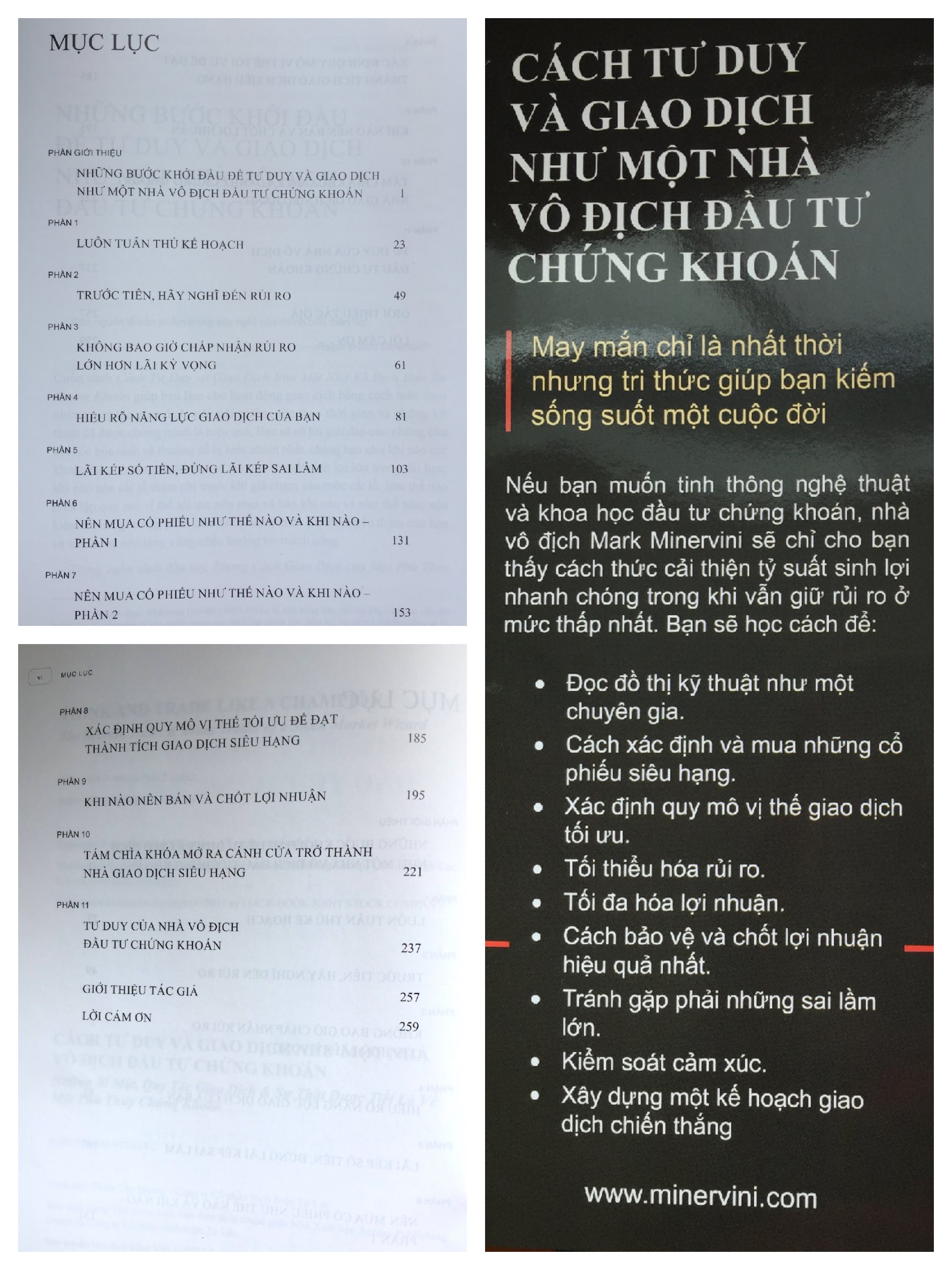 Cách Tư Duy Và Giao Dịch Như Một Nhà Vô Địch Đầu Tư Chứng Khoán