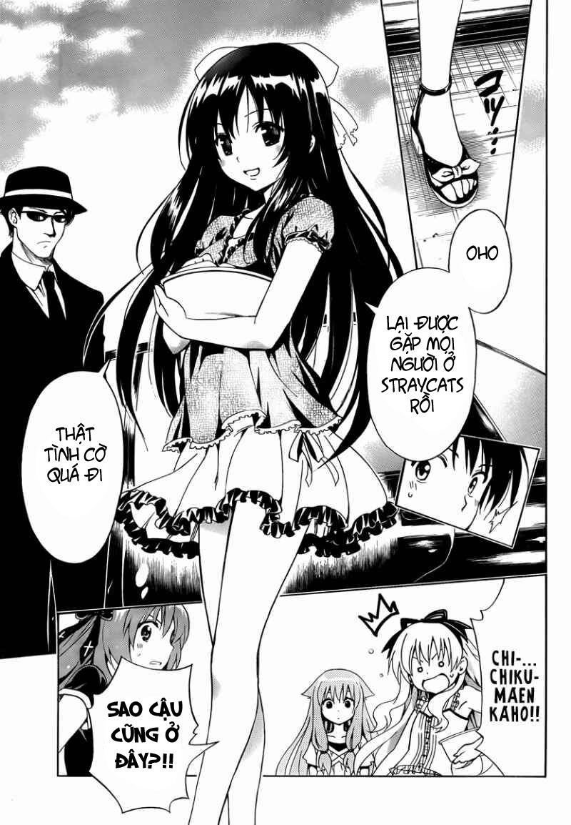 mayoi neko overrun! chapter 7 20