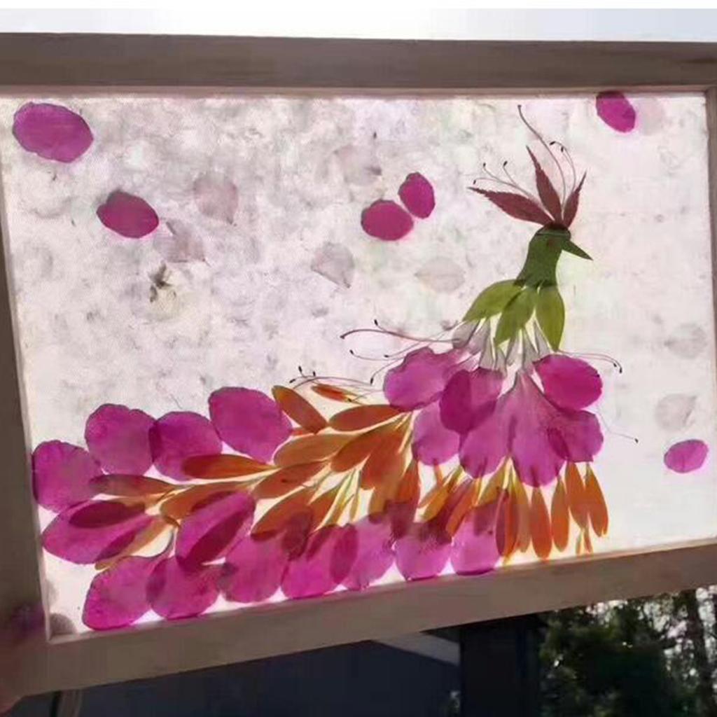 2-Piece of Sizes Paper Making Kit Mould Screen Frame, DIY Craft Gift, Handcraft , Recycling, Paper Art, for Kids Adults