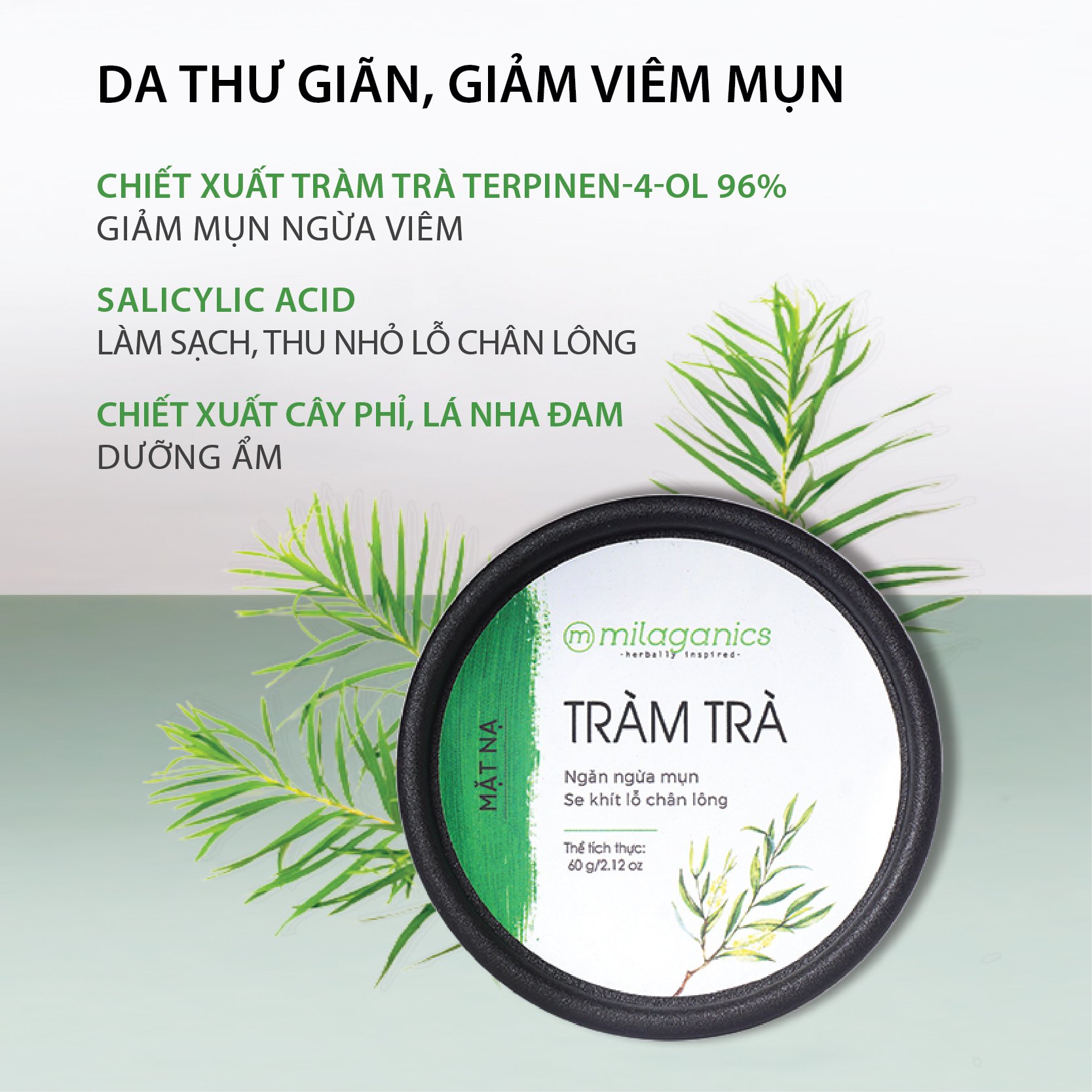 Mặt Nạ Tràm Trà Teatree Ngăn Ngừa & Làm Khô Vết Nhân Mụn Từ Tinh Dầu Tràm Trà Nguyên Chất MILAGANICS 60g (Hũ)