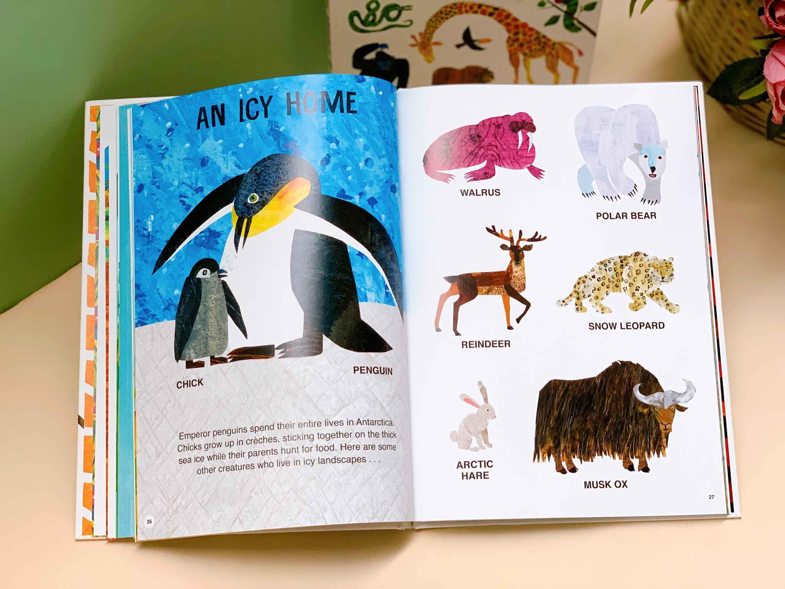 Eric Carle's Book of Amazing Animals