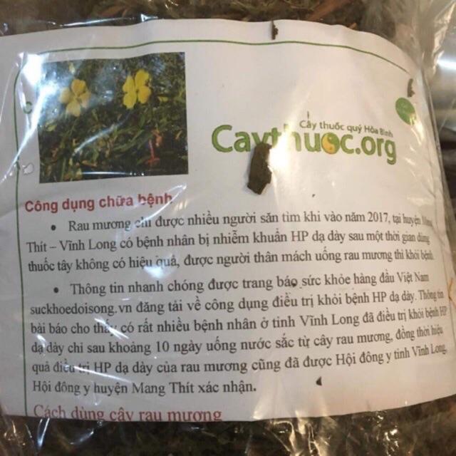 Cây Rau mương 1 kg chữa bệnh