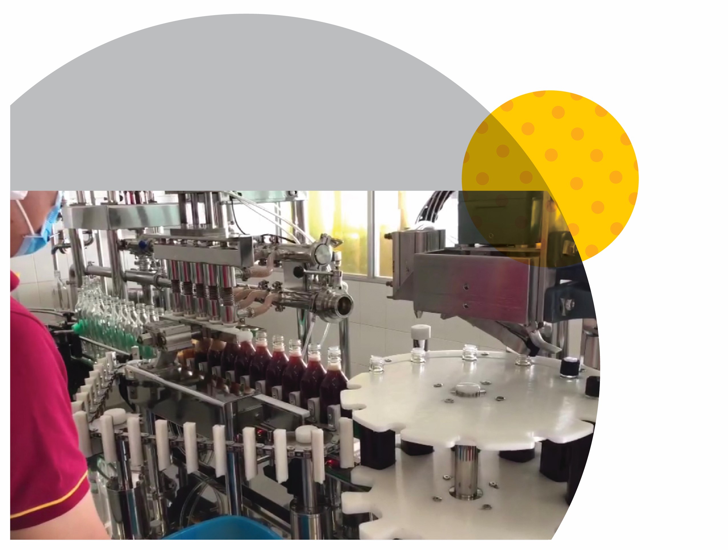 Hộp 6 Chai Nước Mắm Cốt Phú Quốc - Quốc Vị Độ Đạm 40N Chai Thủy Tinh 60ml Cá Cơm